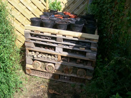 image - Bug Hotel (June 11)